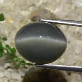 Cuarzo Ojo de Gato Gris oscuro natural de 7.89 ct, Corte Óvalo, Opaco