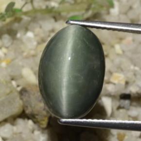 Cuarzo Ojo de Gato Verde medio natural de 8.78 ct, Corte Óvalo, Opaco