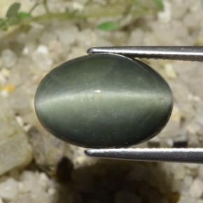 Cuarzo Ojo de Gato Verde medio natural de 8.78 ct, Corte Óvalo, Opaco