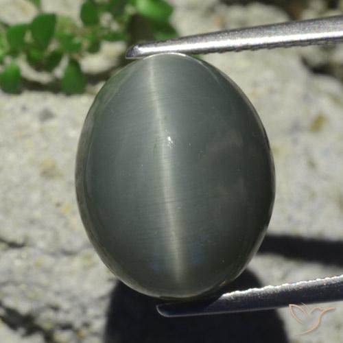 7.28ct Natural Gris verdoso pálido Cuarzo Ojo de Gato, Ovalada, Opaco