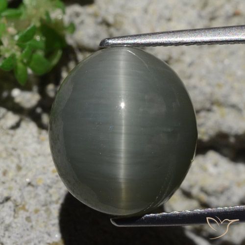 8.02ct Natural Gris verdoso pálido Cuarzo Ojo de Gato, Ovalada, Opaco