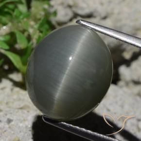 Cuarzo Ojo de Gato Gris verdoso pálido natural de 8.02 ct, Ovalada, Opaco