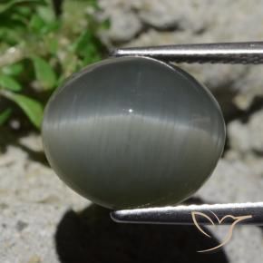 Cuarzo Ojo de Gato Gris verdoso pálido natural de 8.02 ct, Ovalada, Opaco