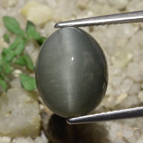 6.65ct Natural Verde medio Cuarzo Ojo de Gato, Ovalada, Opaco
