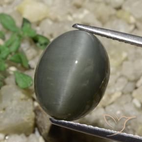 Cuarzo Ojo de Gato Verde medio natural de 6.65 ct, Ovalada, Opaco