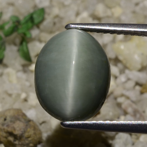Cuarzo Ojo de Gato Gris verdoso natural de 5.82 ct, Corte Óvalo, Translúcido