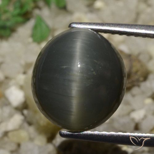 6.05ct Natural Gris acero Cuarzo Ojo de Gato, Ovalada, Opaco