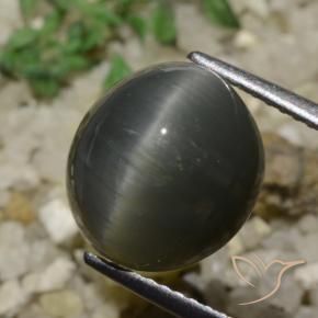 Cuarzo Ojo de Gato Gris acero natural de 6.05 ct, Ovalada, Opaco