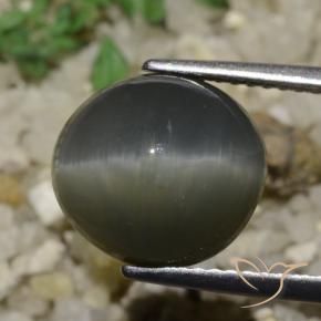 Cuarzo Ojo de Gato Gris acero natural de 6.05 ct, Ovalada, Opaco