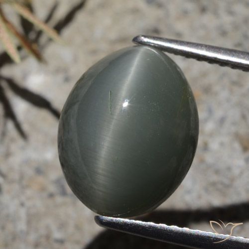7.32ct Natural Gris oscuro Cuarzo Ojo de Gato, Ovalada, Opaco