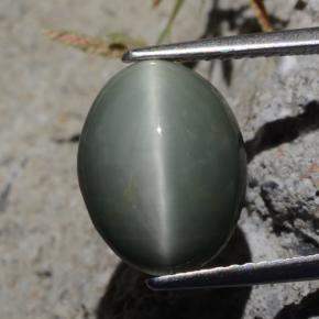 Cuarzo Ojo de Gato Verde natural de 5.29 ct, Corte Óvalo, Opaco