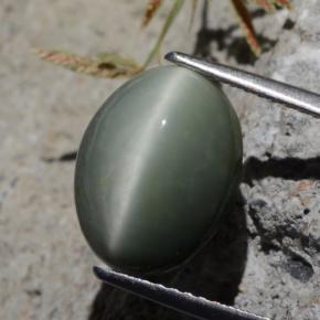 Cuarzo Ojo de Gato Verde natural de 5.29 ct, Corte Óvalo, Opaco
