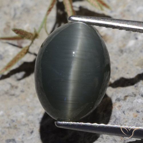 Cuarzo Ojo de Gato Gris acero natural de 6.13 ct, Corte Óvalo, Opaco