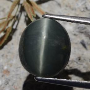 Cuarzo Ojo de Gato Verde oscuro natural de 6.15 ct, Corte Óvalo, Opaco
