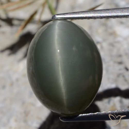 8.10ct Natural Gris oscuro Cuarzo Ojo de Gato, Ovalada, Opaco