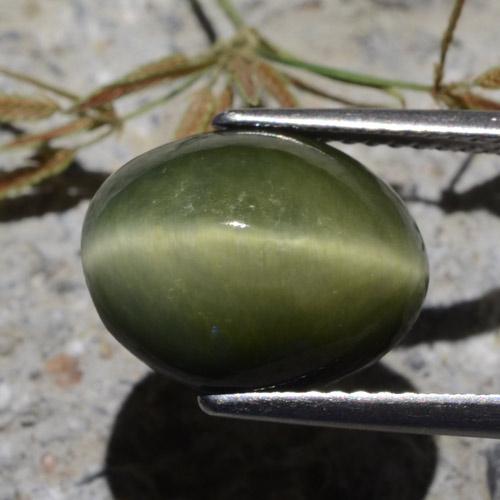 Cuarzo Ojo de Gato Verde militar natural de 7.00 ct, Corte Óvalo, Opaco