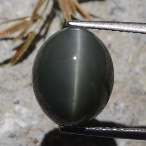 Cuarzo Ojo de Gato Gris oscuro natural de 7.26 ct, Corte Óvalo, Opaco