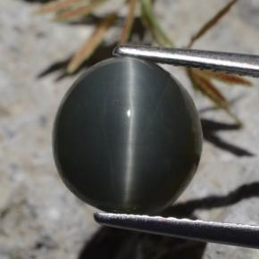 Cuarzo Ojo de Gato Verde natural de 5.62 ct, Corte Óvalo, Opaco