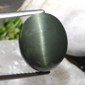 Cuarzo Ojo de Gato Verde natural de 7.61 ct, Corte Óvalo, Opaco