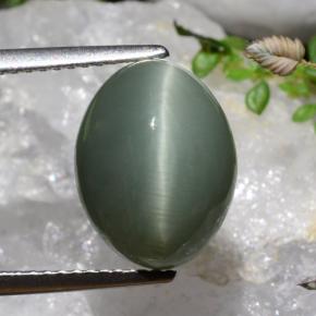 Cuarzo Ojo de Gato Verde intenso medio natural de 7.17 ct, Corte Óvalo, Opaco