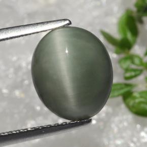Cuarzo Ojo de Gato Verde natural de 3.66 ct, Corte Óvalo, Opaco