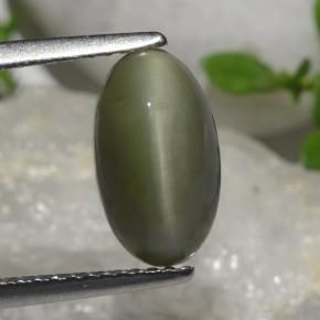 Cuarzo Ojo de Gato Verde natural de 2.64 ct, Corte Óvalo, Opaco