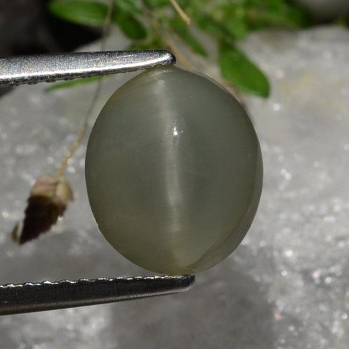 Quartz cat's eye gris natural de 2,99 ct, corte óvalo, translúcido