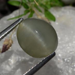 Quartz cat's eye gris natural de 2,99 ct, corte óvalo, translúcido