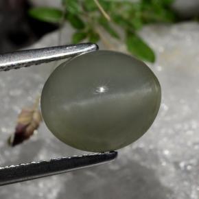 Quartz cat's eye gris natural de 2,99 ct, corte óvalo, translúcido