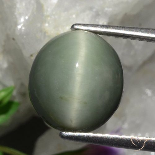 5.48ct Natural Verde medio Cuarzo Ojo de Gato, Ovalada, Opaco
