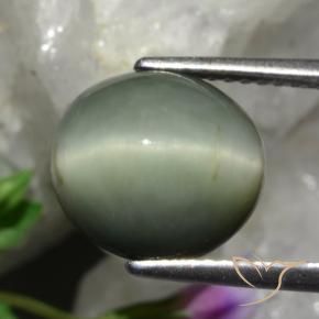 Cuarzo Ojo de Gato Verde medio natural de 5.48 ct, Ovalada, Opaco