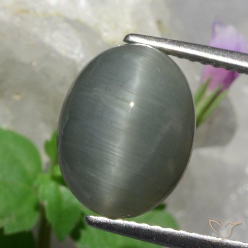 4.89ct Natural Verde medio Cuarzo Ojo de Gato, Ovalada, Opaco