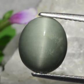 Quartz cat's eye verde natural de 3,01 ct, corte óvalo, opaco