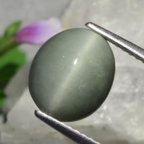 Quartz cat's eye verde natural de 3,01 ct, corte óvalo, opaco