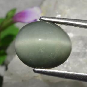Quartz cat's eye verde natural de 3,01 ct, corte óvalo, opaco