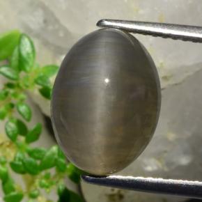 Quartz cat's eye marrón natural de 5,37 ct, corte óvalo, translúcido