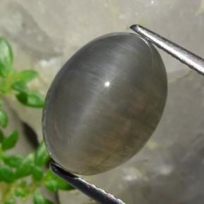 Quartz cat's eye marrón natural de 5,37 ct, corte óvalo, translúcido