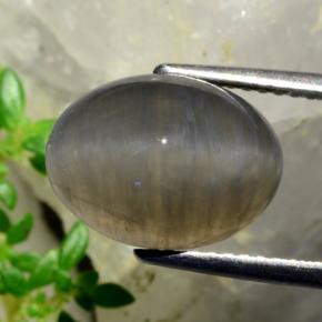 Quartz cat's eye marrón natural de 5,37 ct, corte óvalo, translúcido