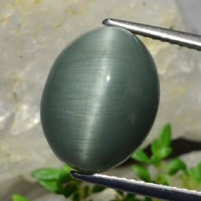 Cuarzo ojo de gato verde natural de 8,20 ct, corte óvalo, opaco