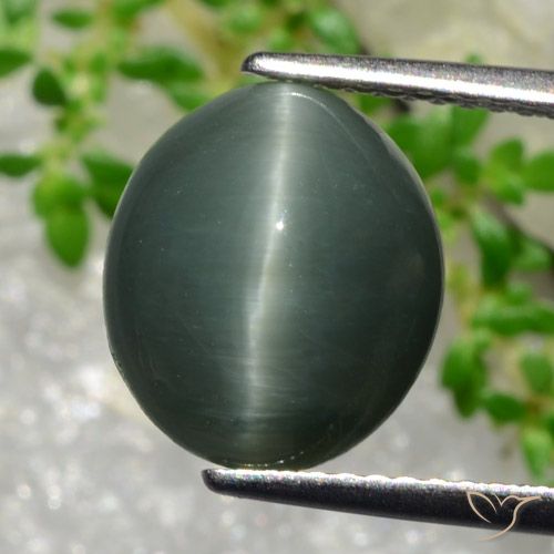 Cuarzo Ojo de Gato Gris verdoso natural de 5.66 ct, Corte Óvalo, Opaco