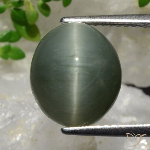 6.98ct Natural Verde medio Cuarzo Ojo de Gato, Ovalada, Opaco