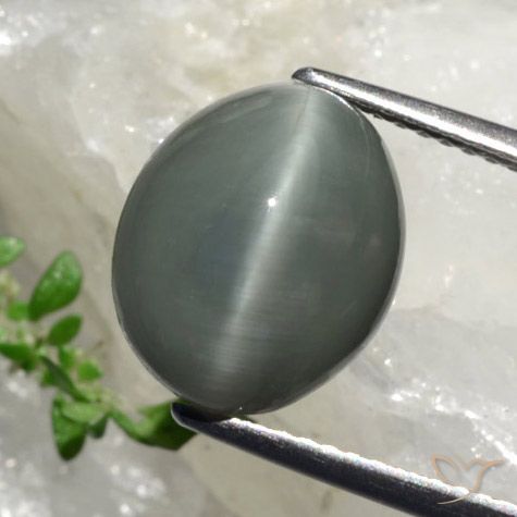 Cuarzo Ojo de Gato Gris verdoso natural de 6.17 ct, Corte Óvalo, Opaco