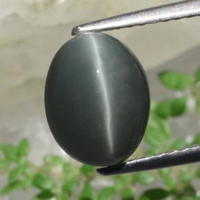 Cuarzo Ojo de Gato Verde natural de 2.63 ct, Corte Óvalo, Opaco