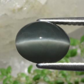 Cuarzo Ojo de Gato Verde natural de 2.63 ct, Corte Óvalo, Opaco