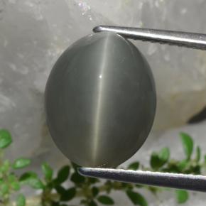 Cuarzo Ojo de Gato Verde natural de 8.58 ct, Corte Óvalo, Opaco