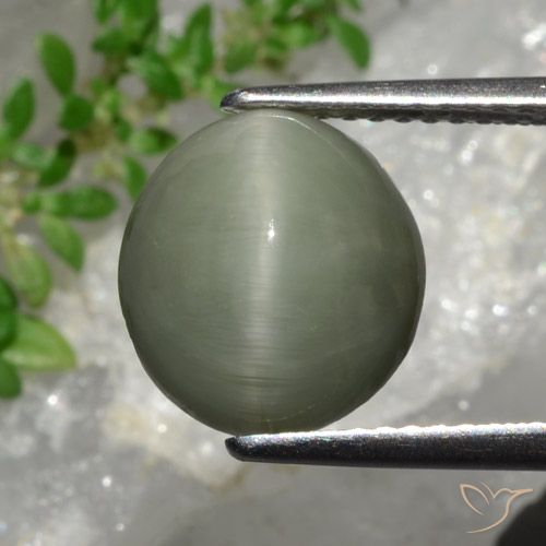 4.44ct Natural Verde gris Cuarzo Ojo de Gato, Ovalada, Opaco