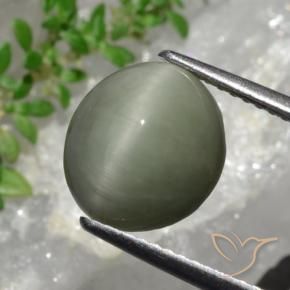 Cuarzo Ojo de Gato Verde gris natural de 4.44 ct, Ovalada, Opaco