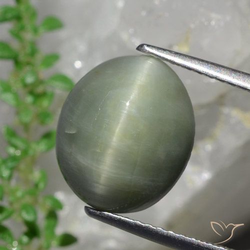 6.13ct Natural Verde medio Cuarzo Ojo de Gato, Ovalada, Opaco