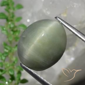 Cuarzo Ojo de Gato Verde medio natural de 6.13 ct, Ovalada, Opaco