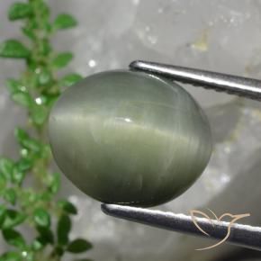 Cuarzo Ojo de Gato Verde medio natural de 6.13 ct, Ovalada, Opaco